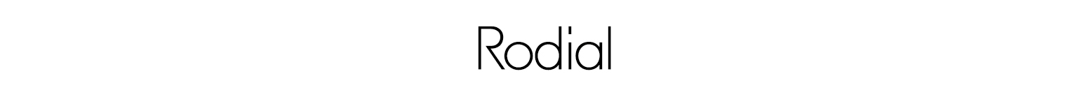  Logo značky Rodial