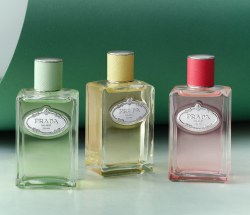 Prada Les Infusion Flacons